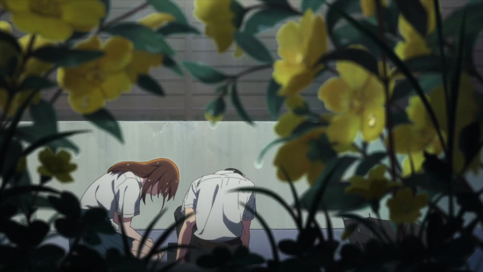[Tsukyio Editing Resources] I Want to Eat Your Pancreas Raw Clips (658) (tsukyio.com).mp4